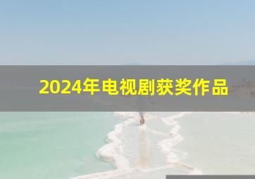 2024年电视剧获奖作品