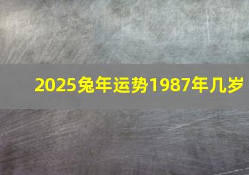 2025兔年运势1987年几岁