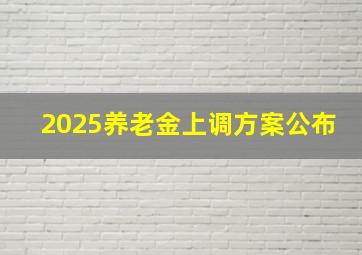 2025养老金上调方案公布