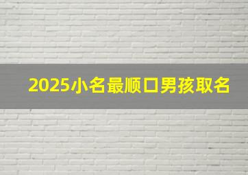 2025小名最顺口男孩取名