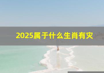 2025属于什么生肖有灾