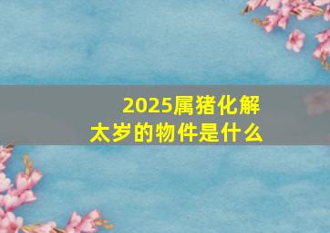 2025属猪化解太岁的物件是什么