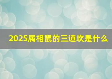 2025属相鼠的三道坎是什么