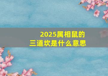 2025属相鼠的三道坎是什么意思