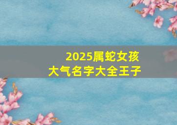 2025属蛇女孩大气名字大全王子