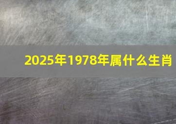 2025年1978年属什么生肖