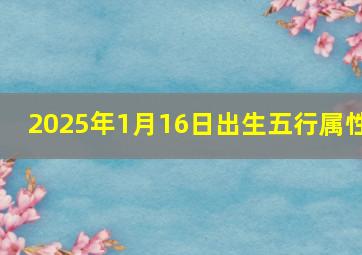 2025年1月16日出生五行属性