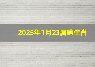 2025年1月23属啥生肖