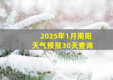 2025年1月南阳天气预报30天查询