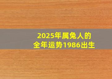 2025年属兔人的全年运势1986出生