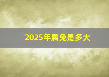 2025年属兔是多大