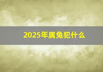 2025年属兔犯什么