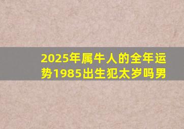 2025年属牛人的全年运势1985出生犯太岁吗男