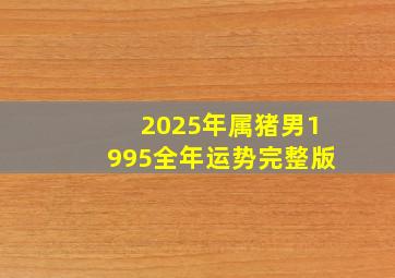 2025年属猪男1995全年运势完整版