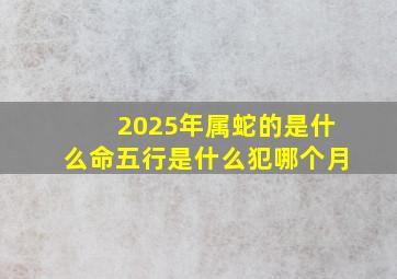 2025年属蛇的是什么命五行是什么犯哪个月