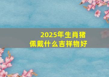 2025年生肖猪佩戴什么吉祥物好