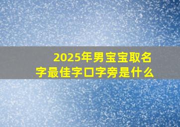 2025年男宝宝取名字最佳字口字旁是什么