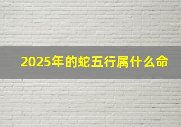 2025年的蛇五行属什么命