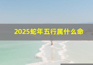 2025蛇年五行属什么命