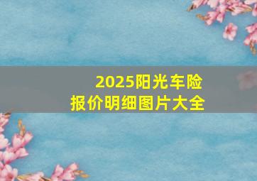 2025阳光车险报价明细图片大全