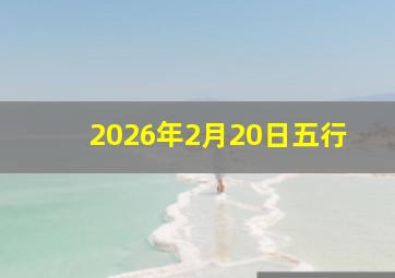 2026年2月20日五行