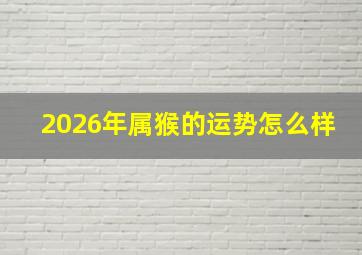 2026年属猴的运势怎么样