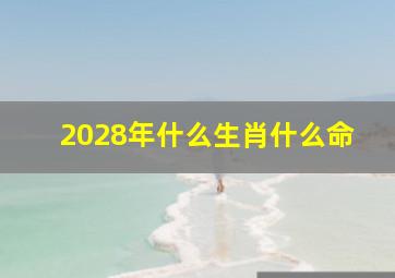 2028年什么生肖什么命