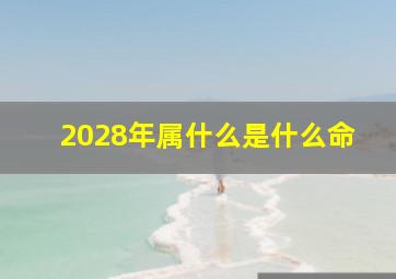 2028年属什么是什么命