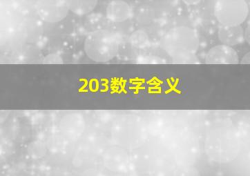 203数字含义