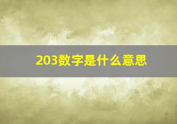 203数字是什么意思