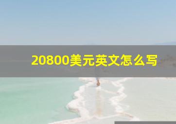 20800美元英文怎么写