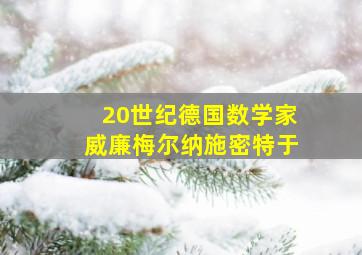 20世纪德国数学家威廉梅尔纳施密特于