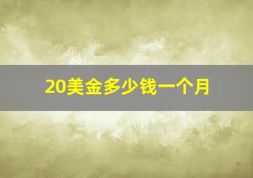 20美金多少钱一个月