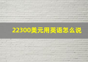 22300美元用英语怎么说