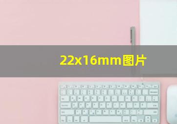 22x16mm图片