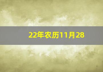 22年农历11月28