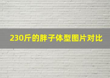 230斤的胖子体型图片对比