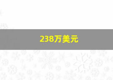 238万美元