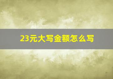 23元大写金额怎么写