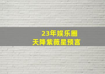 23年娱乐圈天降紫薇星预言