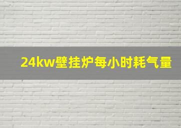 24kw壁挂炉每小时耗气量