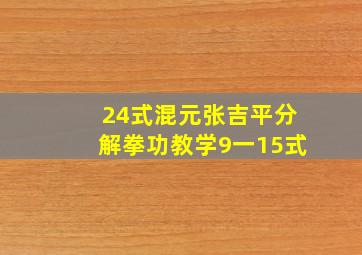 24式混元张吉平分解拳功教学9一15式