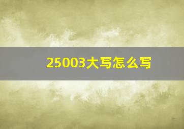 25003大写怎么写