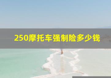 250摩托车强制险多少钱