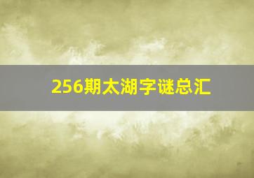 256期太湖字谜总汇