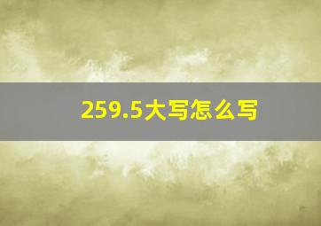 259.5大写怎么写