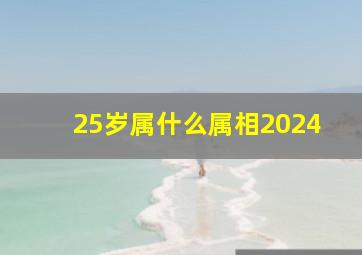 25岁属什么属相2024