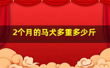 2个月的马犬多重多少斤