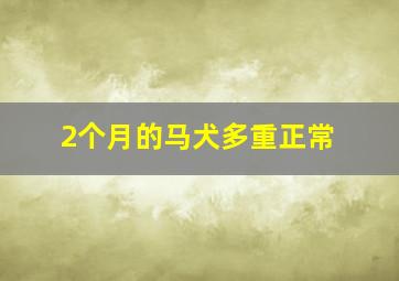 2个月的马犬多重正常