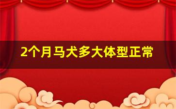 2个月马犬多大体型正常